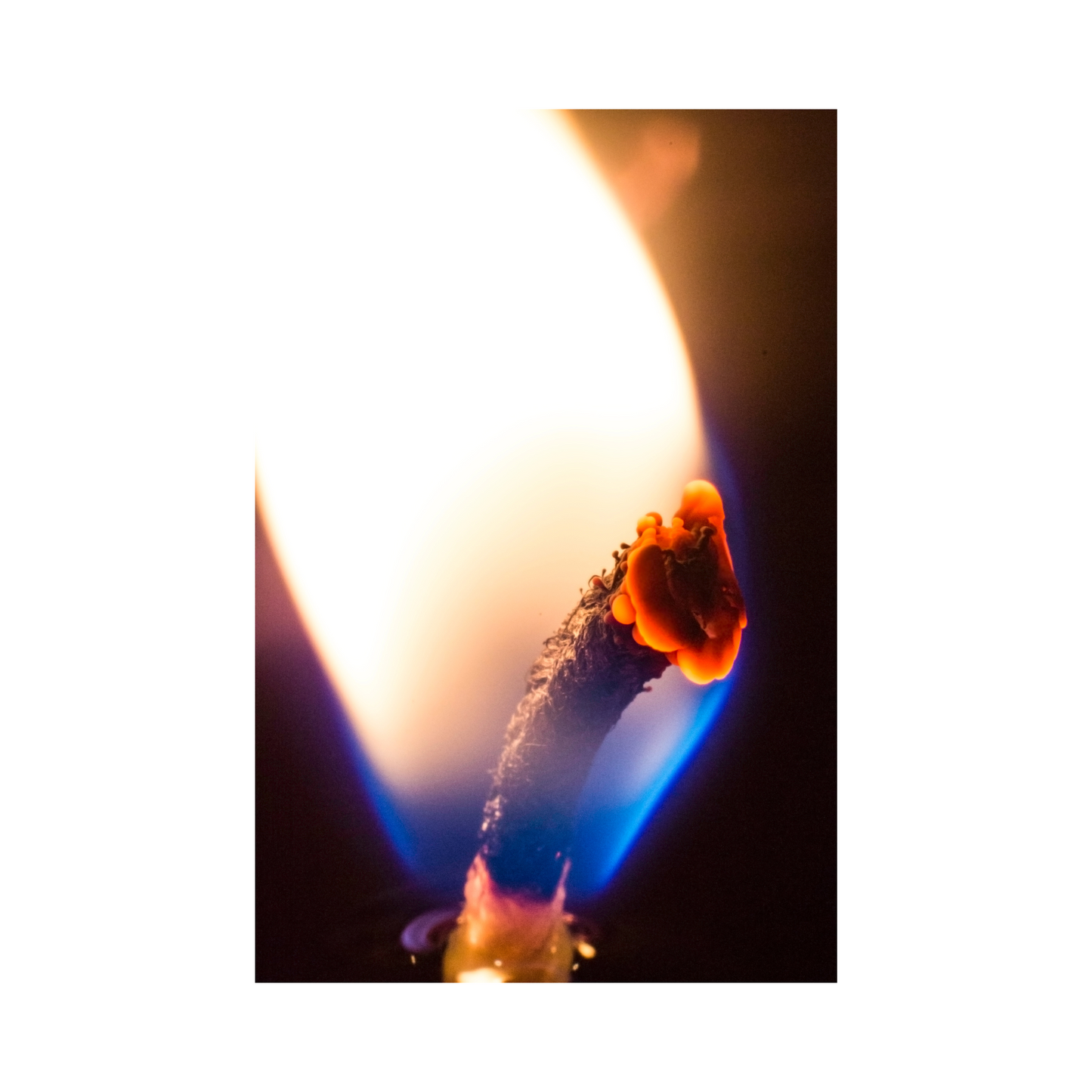 Fiji Falls Candle